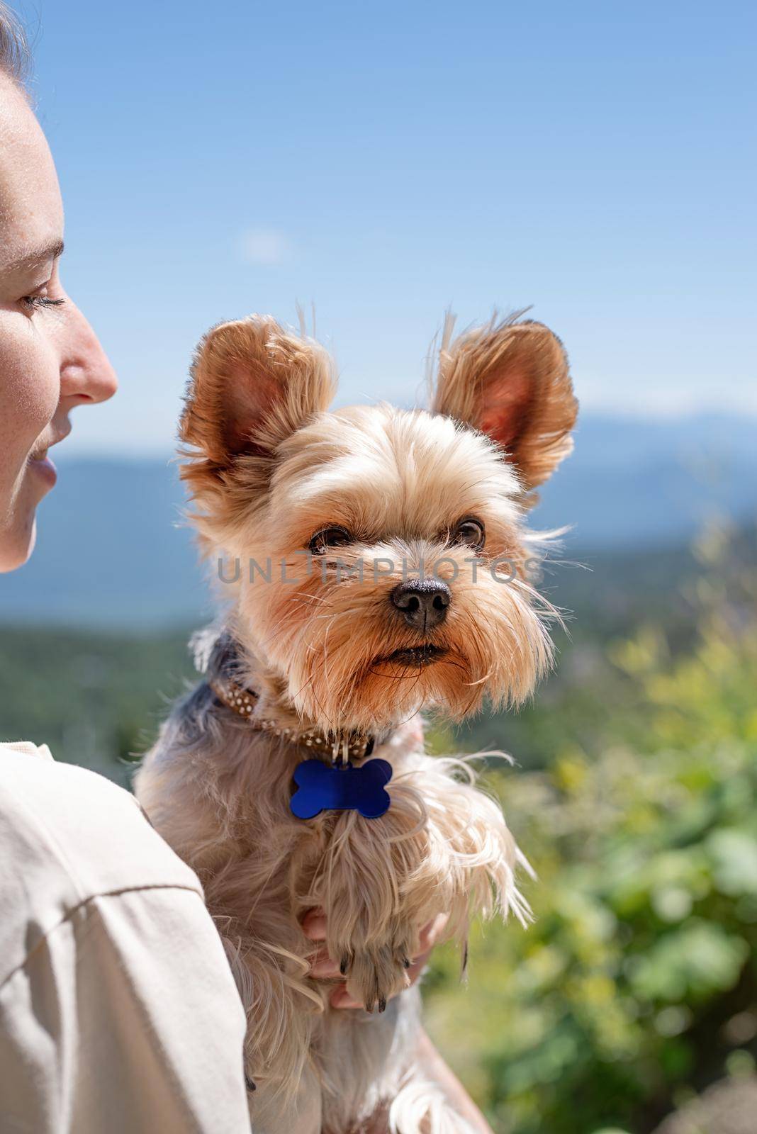 Pet care. Travelling. Young pretty caucasian woman smiling holding small dog yorkshire terrier. Woman travel with pet