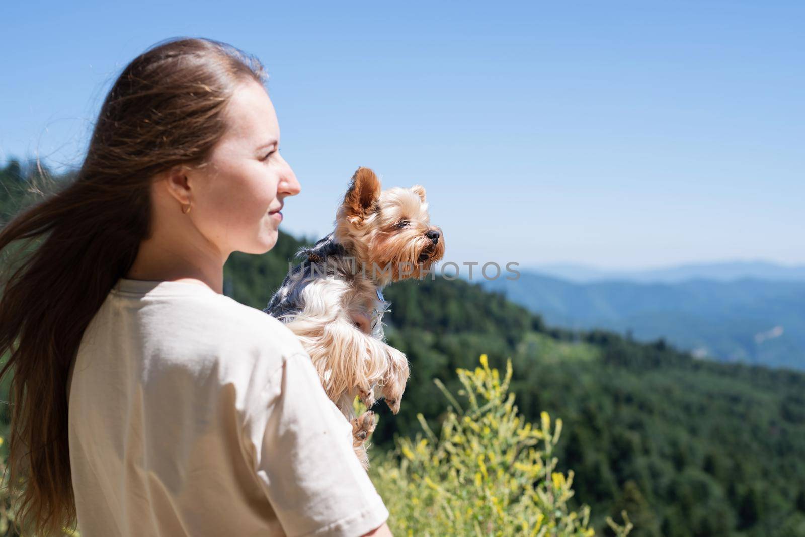 young woman holding small dog puppy yorkshire terrier hiking at the mountains by Desperada