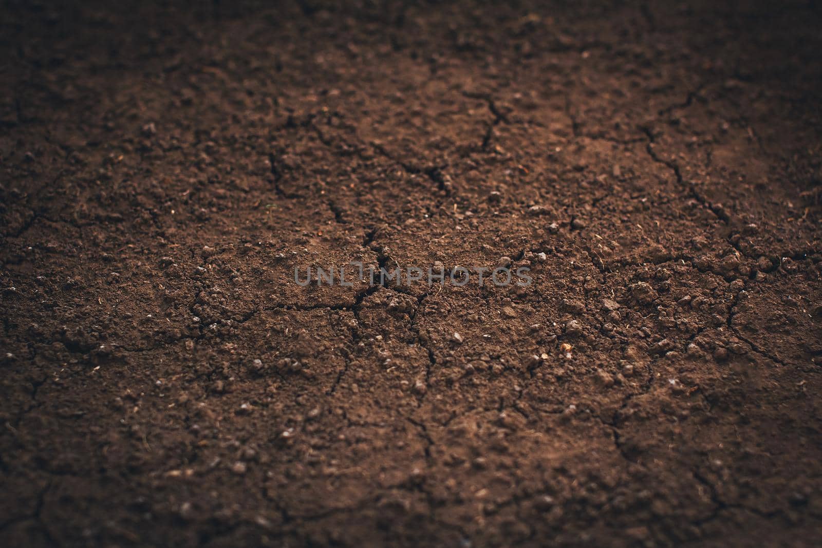 Dark soil texture closeup of dry soil background by vikiriki