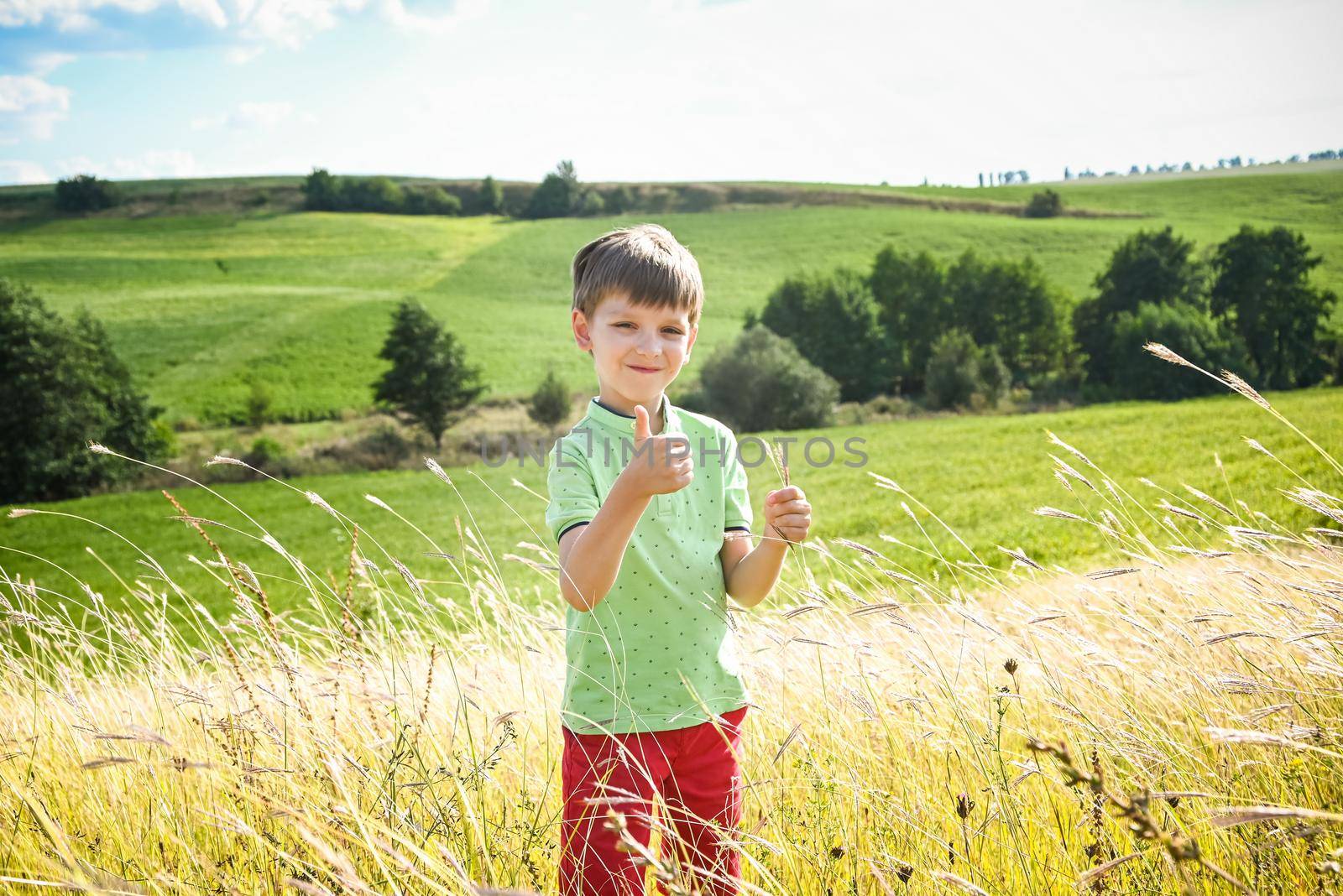 Cute little boy with spikelet in field, space for text. Child spending time in nature. Healthy lifestyle with kids on fresh air by Kobysh