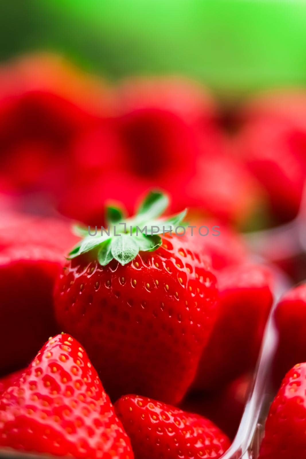 Strawberries packaged in box, sweet ripe perfect strawberry harvest, organic garden and agriculture concept