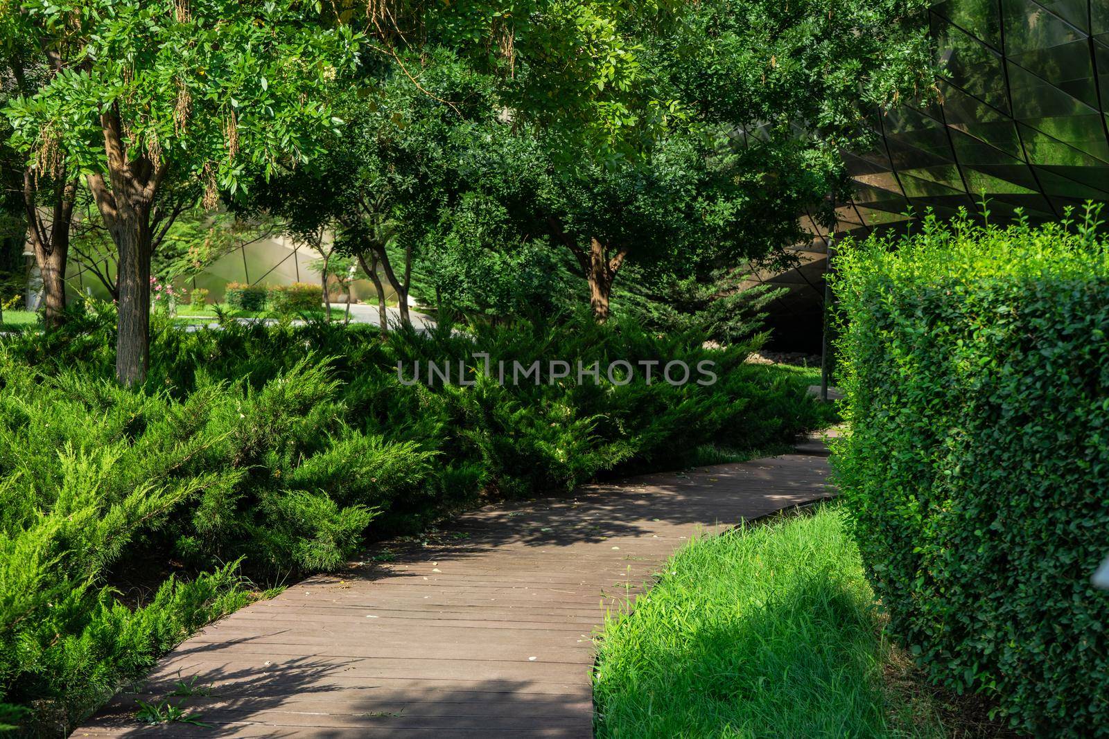 Pathway for walking in Rike park in Old Tbilisi