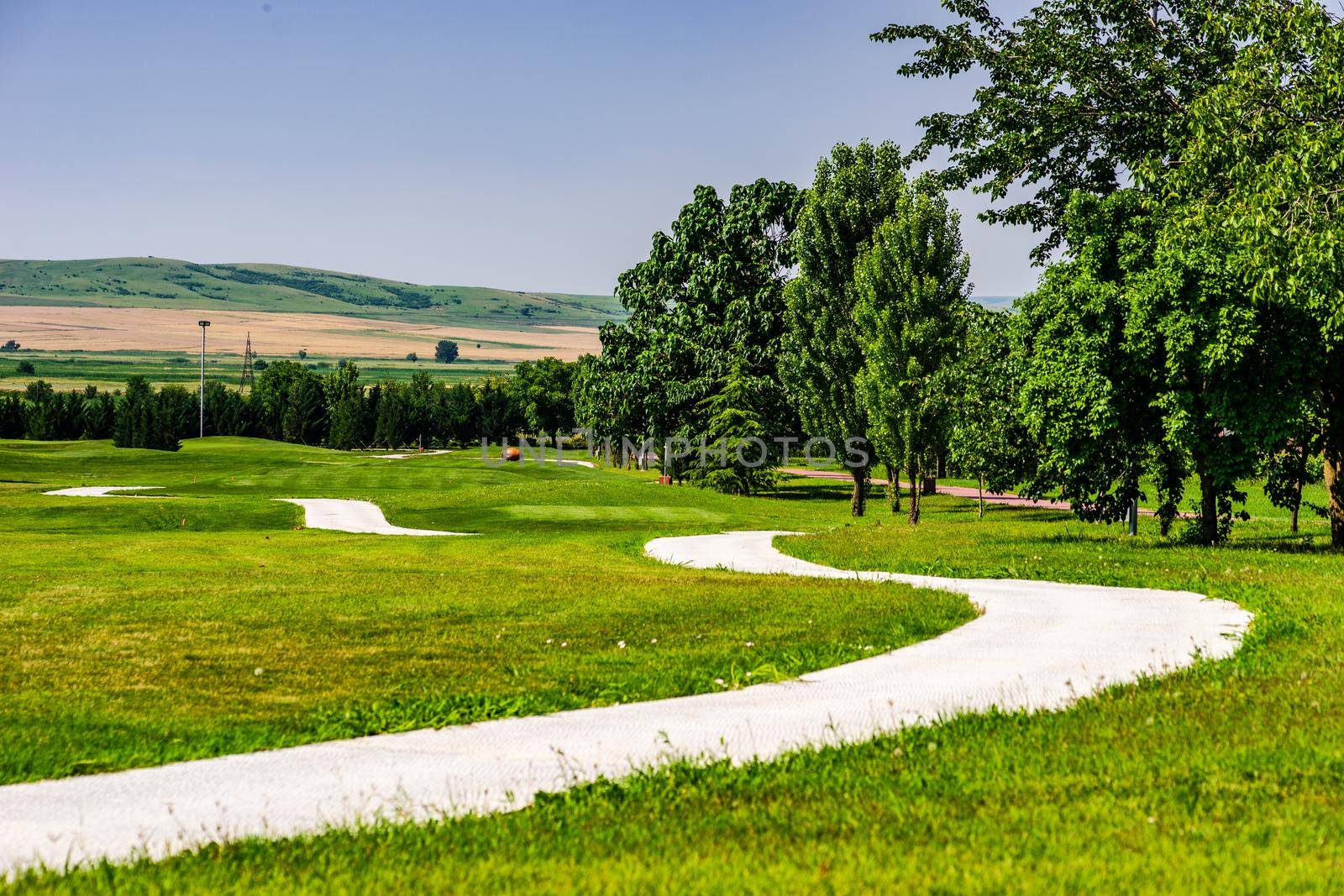 Green grassland in Kachreti village in georgian region Kakheti in summer days