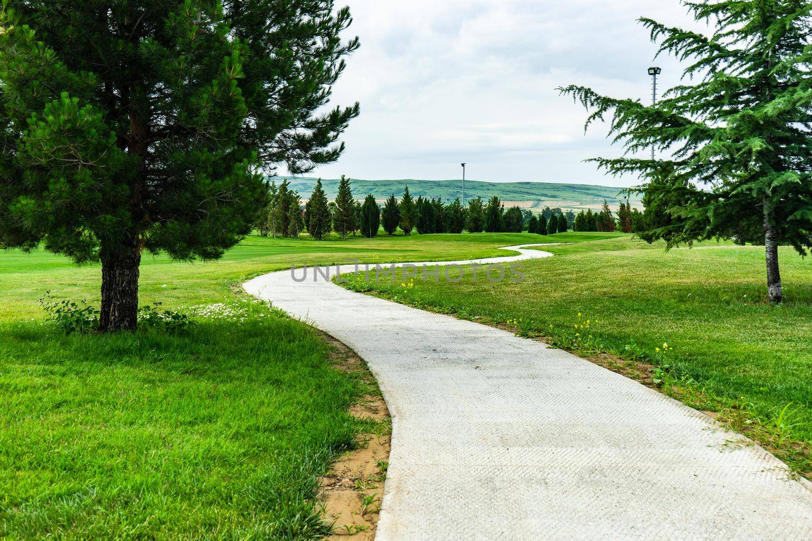 Golf grassland in kakheti, Georgia by Elet