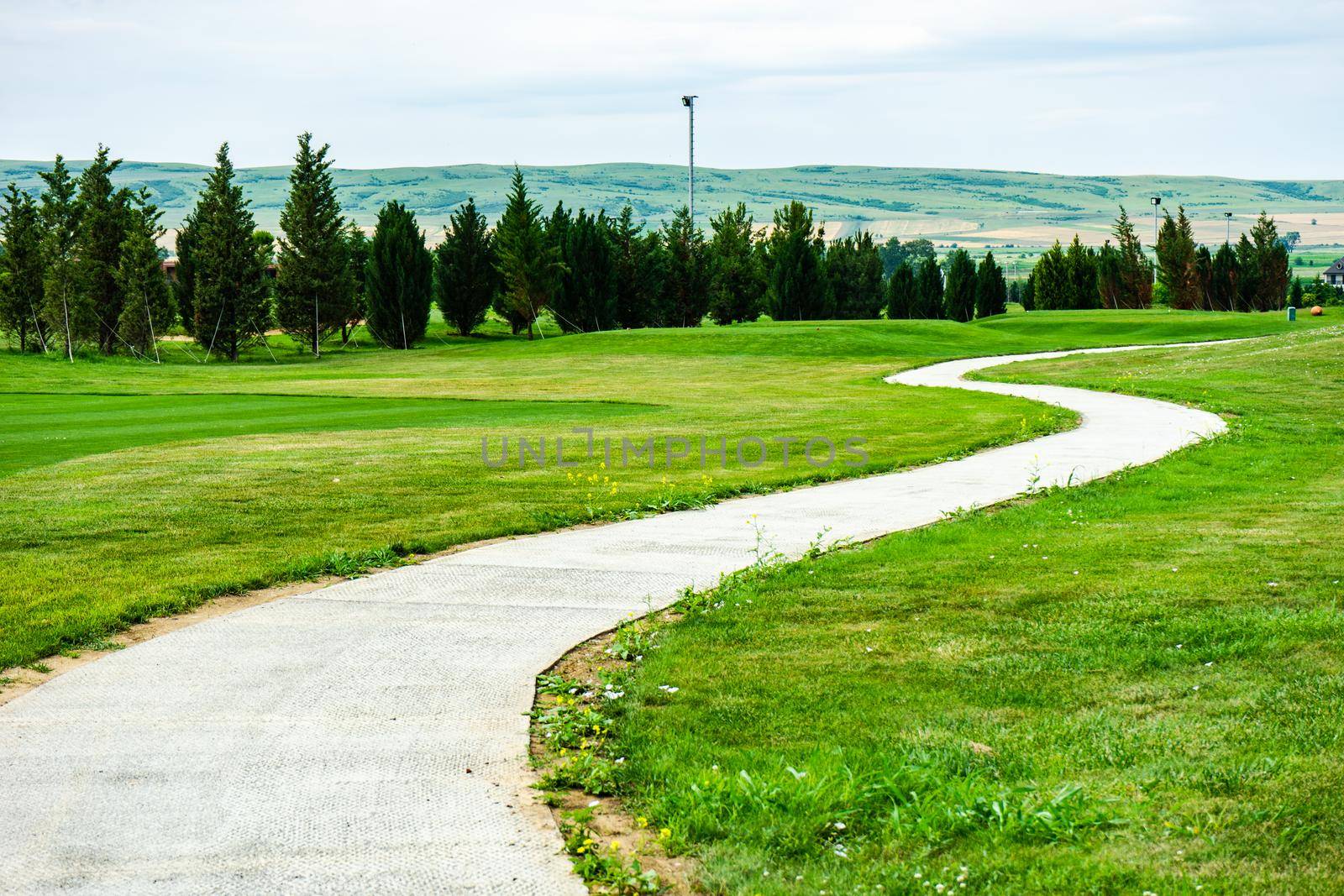 Golf grassland in kakheti, Georgia by Elet