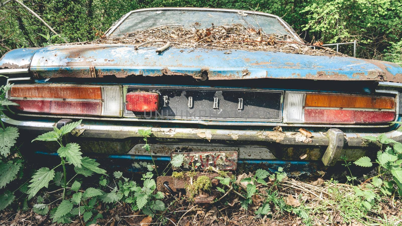 Old abandoned Ford cars dumped in the forest somewhere in Belgium.