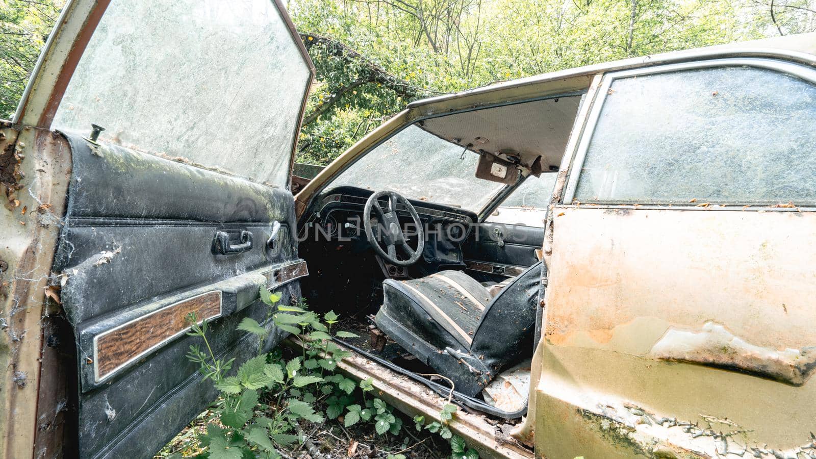 Old abandoned Ford cars dumped in the forest somewhere in Belgium.
