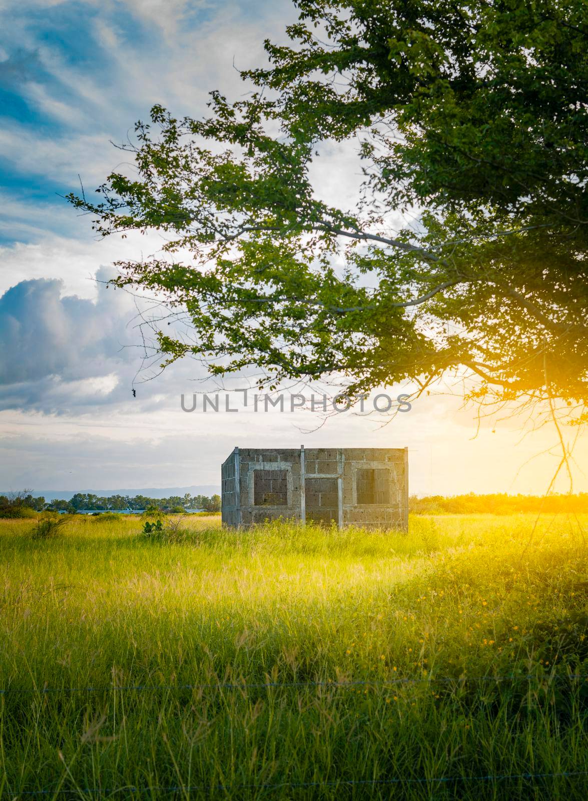 An abandoned house in the field at sunset, View of a lonely and abandoned house in the middle of the grass, Small abandoned house in the forest, Landscape of an abandoned house at sunset by isaiphoto
