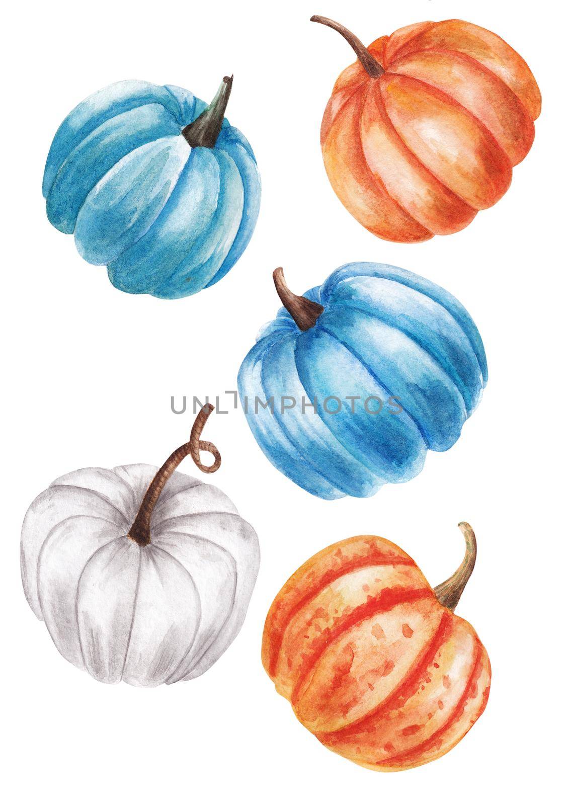 hand drawn watercolor illustration of pumpkins isolated on white background by Desperada