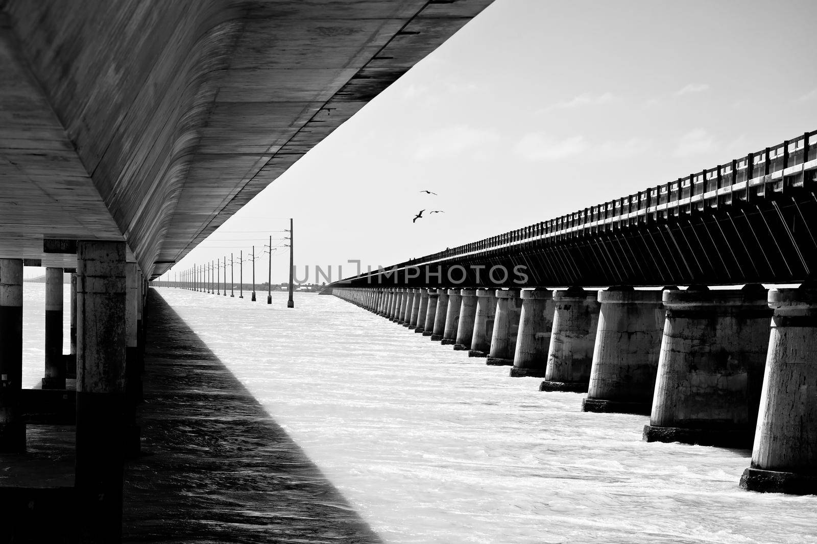 Seven Mile Bridges old and new in Marathon black and white view, U. S. Route 1 in Florida Keys by xbrchx