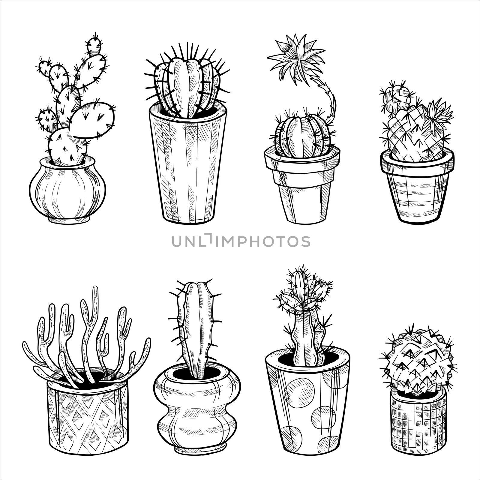 Set of cactus in flowerpots. Outline hand drawn sketch isolated on white by fireFLYart