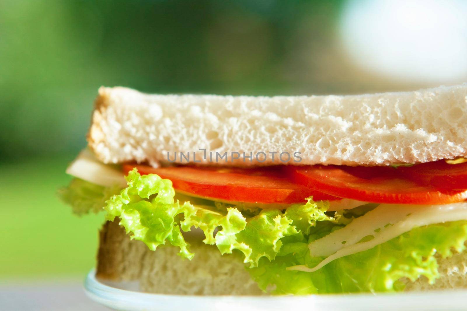 cheese and veggies sandwich - healthy snacks and homemade food styled concept by Anneleven