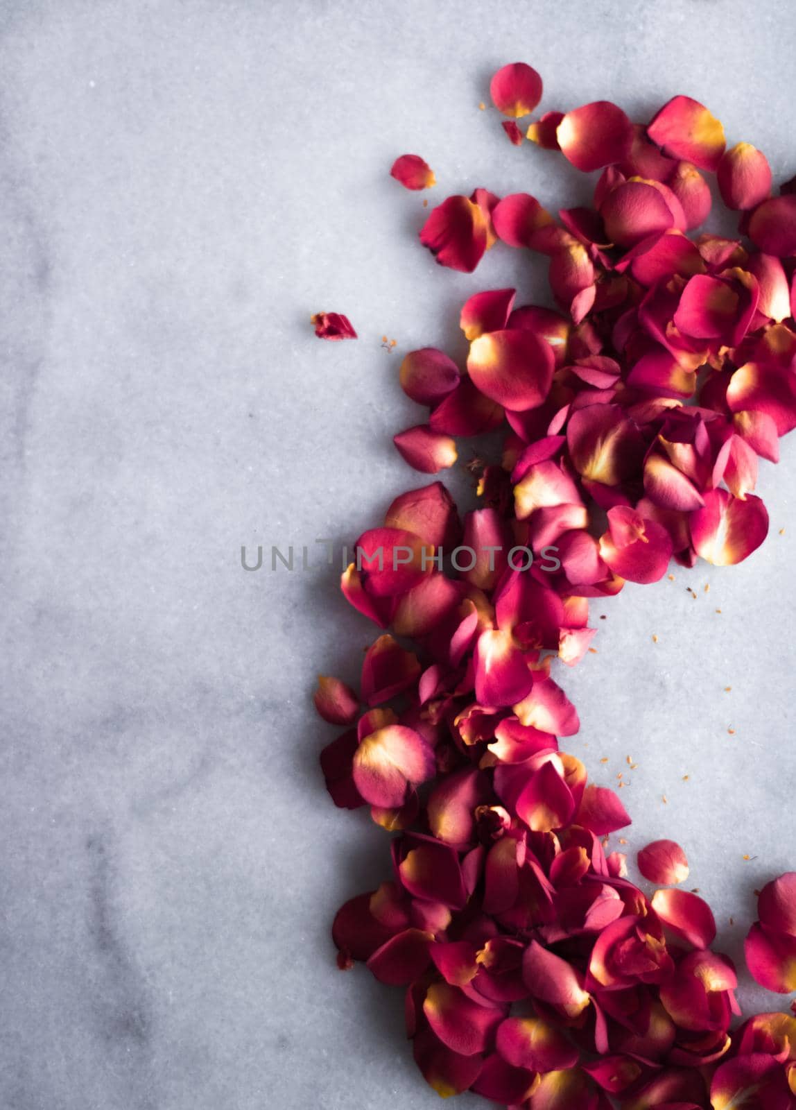 rose petals on marble flatlay - wedding, holiday and floral background styled concept