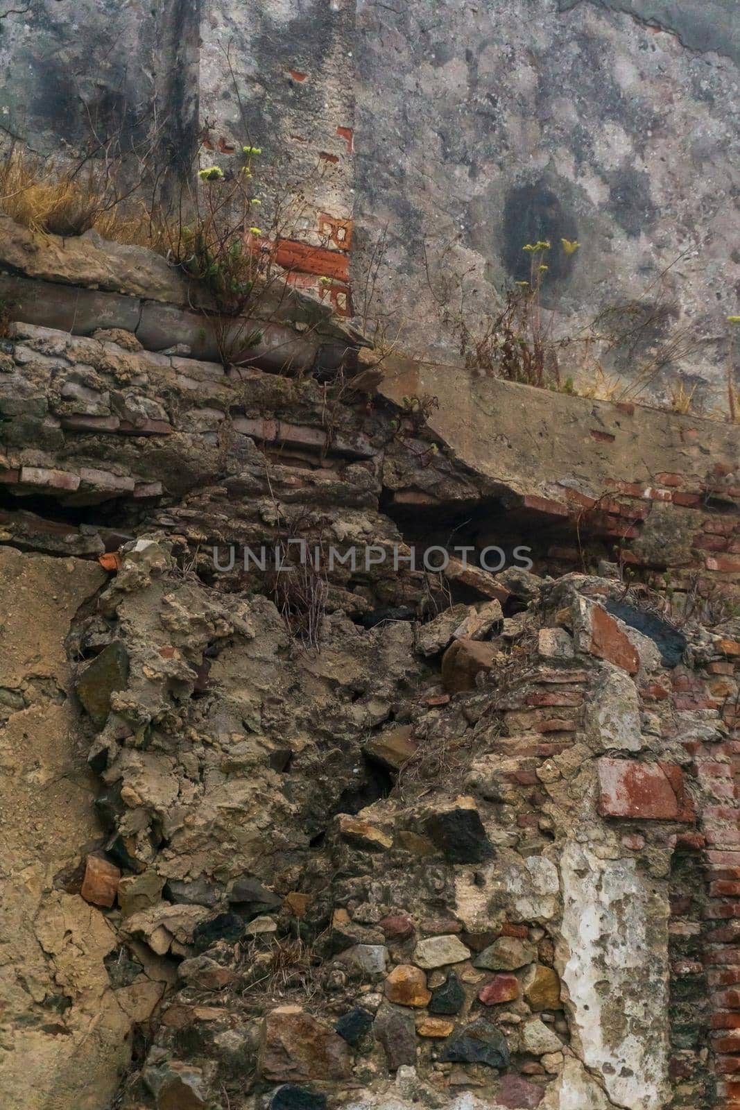 Brick wall of a destroyed house with sprouted plants background