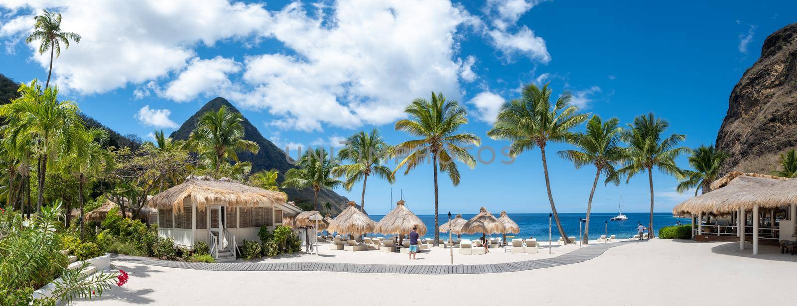 Sugar beach Saint Lucia, is a public white tropical beach with palm trees and luxury beach chairs on the beach of the Island St Lucia Caribbean.