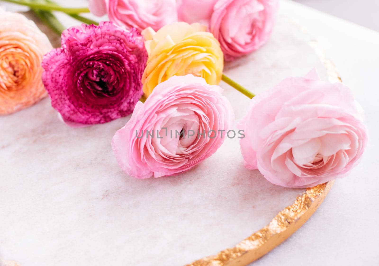 pink rose flowers from the garden - wedding, holiday and floral garden styled concept, elegant visuals