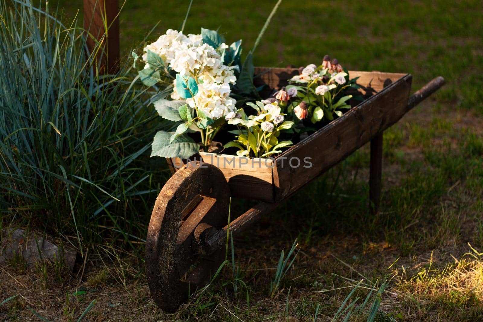 Photo a wooden cart with plants and flowers. Rustic surroundings. Identity. For postcards, for banners.