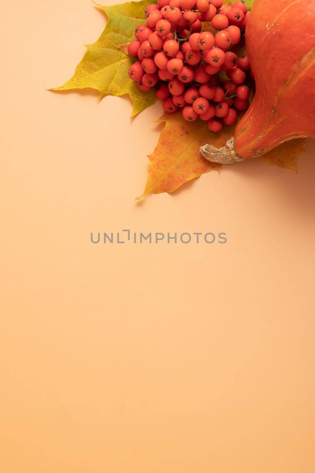 Autumn composition. Dried leaves, pumpkins and rowan berries on orange background. Autumn, fall, thanksgiving day concept. Flat lay, top view, copy space vertical high quality photo.