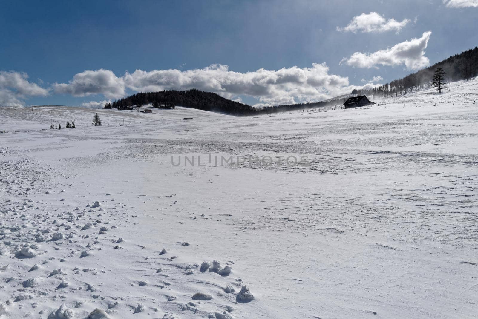 An alpine pasture covered with snow with some small huts. The sky is blue with a few clouds and the fresh snow is blown by the wind.