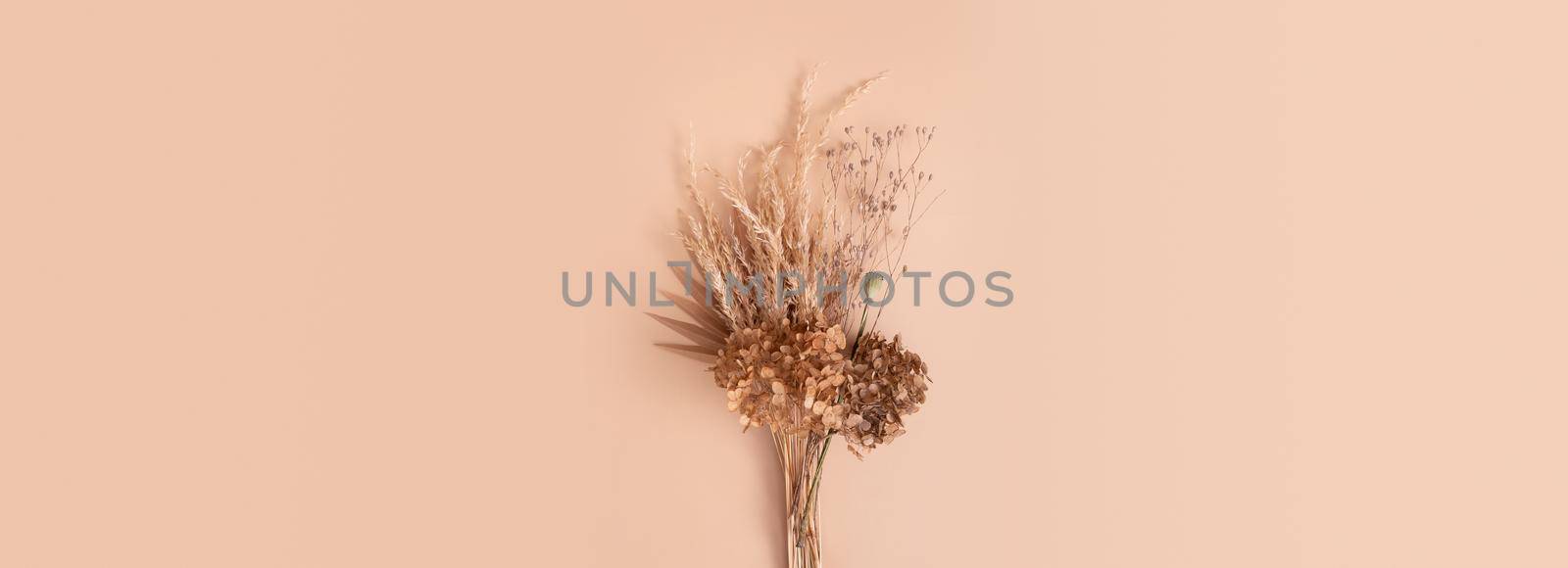 Banner with bouquet of beige dried flowers, grass and leaves on beige background top view.