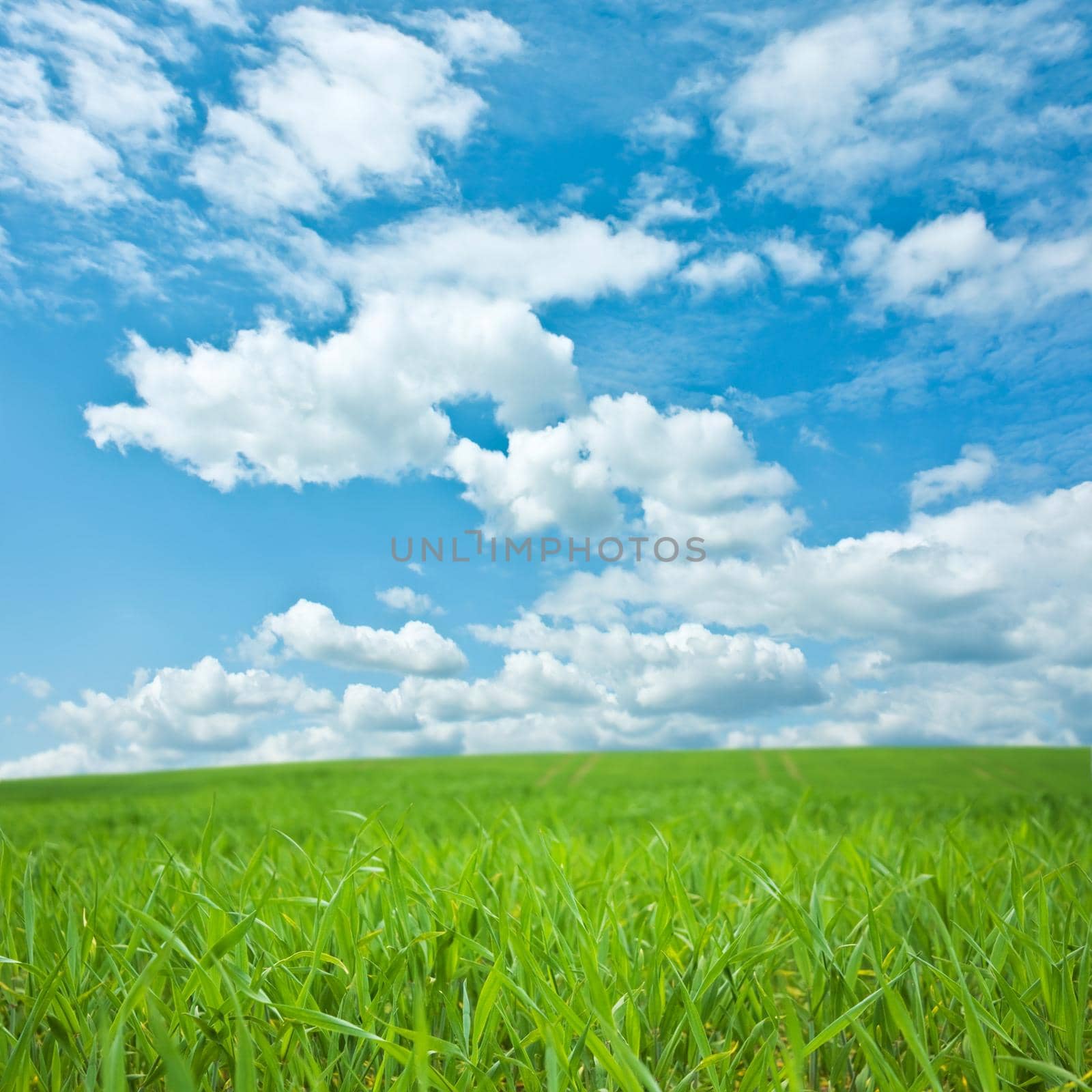 spring landscape scenery - beauty in nature, landscapes and environment concept, elegant visuals