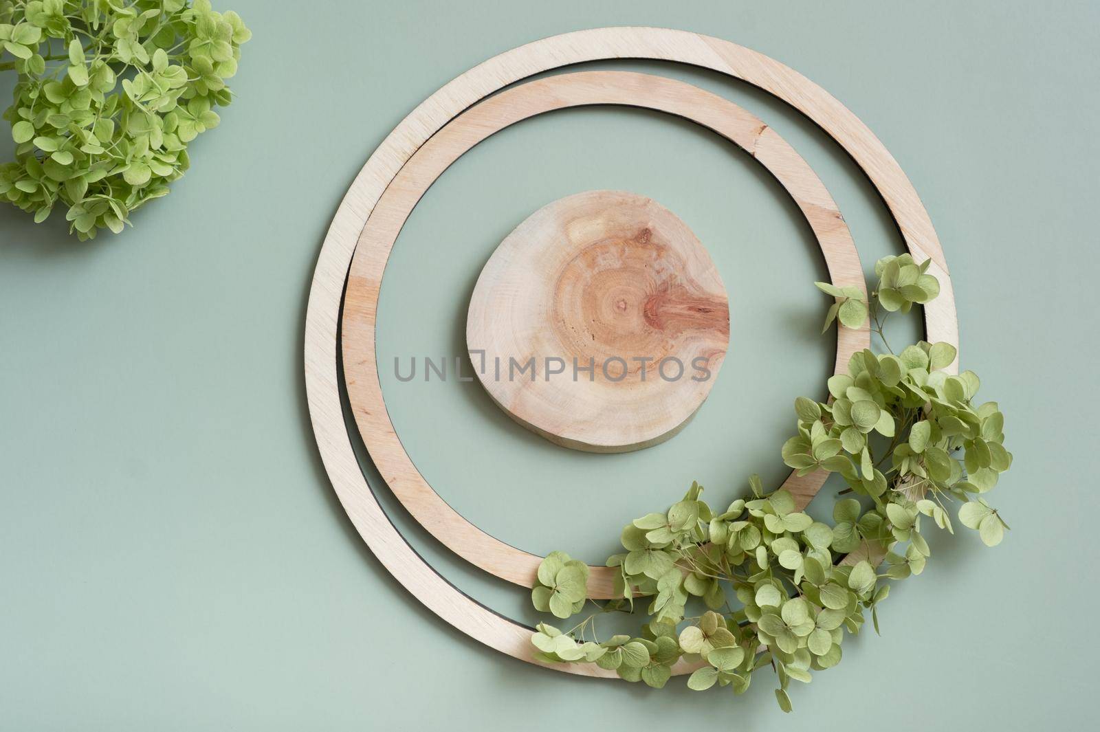Wooden frame with saw pedestal top view decorated with dry hydrangea flowers on pastel green colored background.