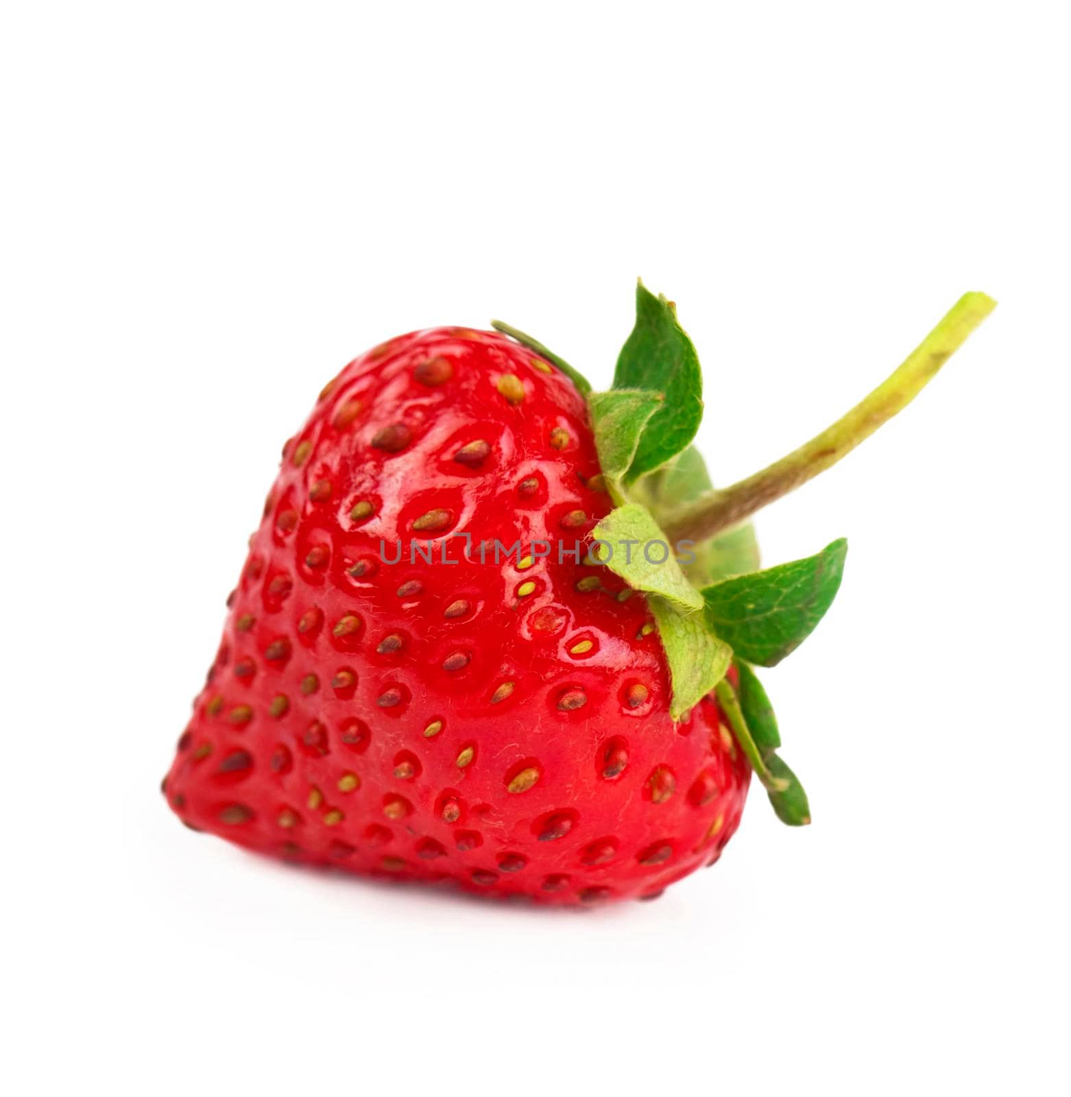 Single organic garden strawberry on white background