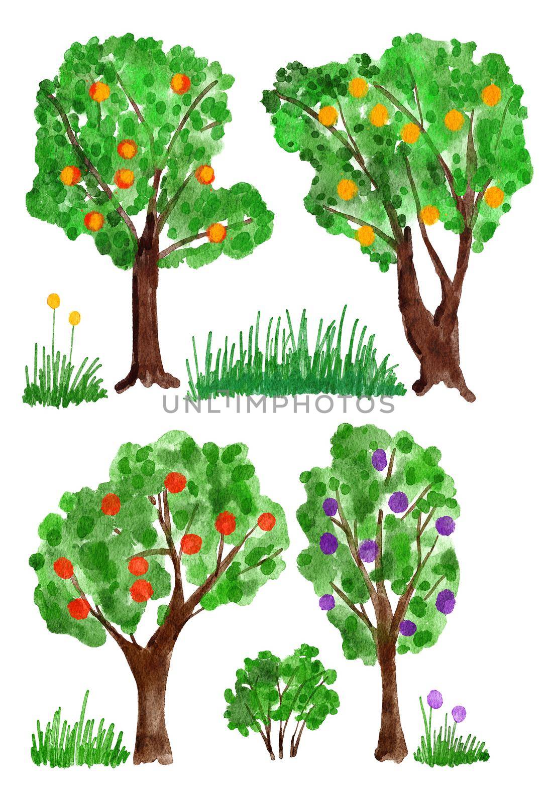 Watercolor hand drawn illustration of orchard fruit trees, farm harvest. Green leaves leaf foliage organic food with grass bushes branches. Yellow red apples, plums, hears. Nature natural forest wood picture clipart. by Lagmar