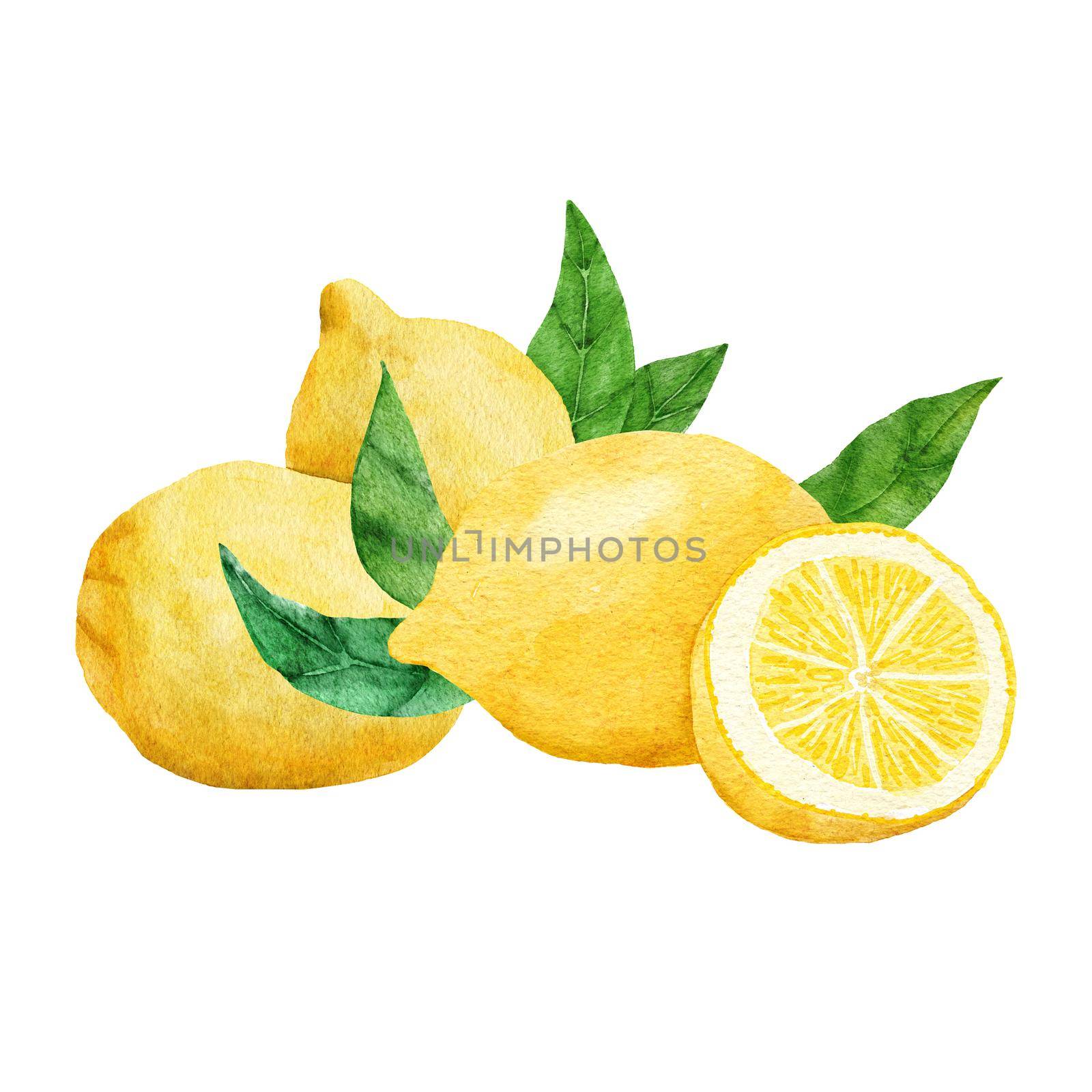 Watercolor hand drawn illustration with yellow cut slice lemons and green leaves. Summer fruit citrus clipart for wedding cards invitations, nature design illustration