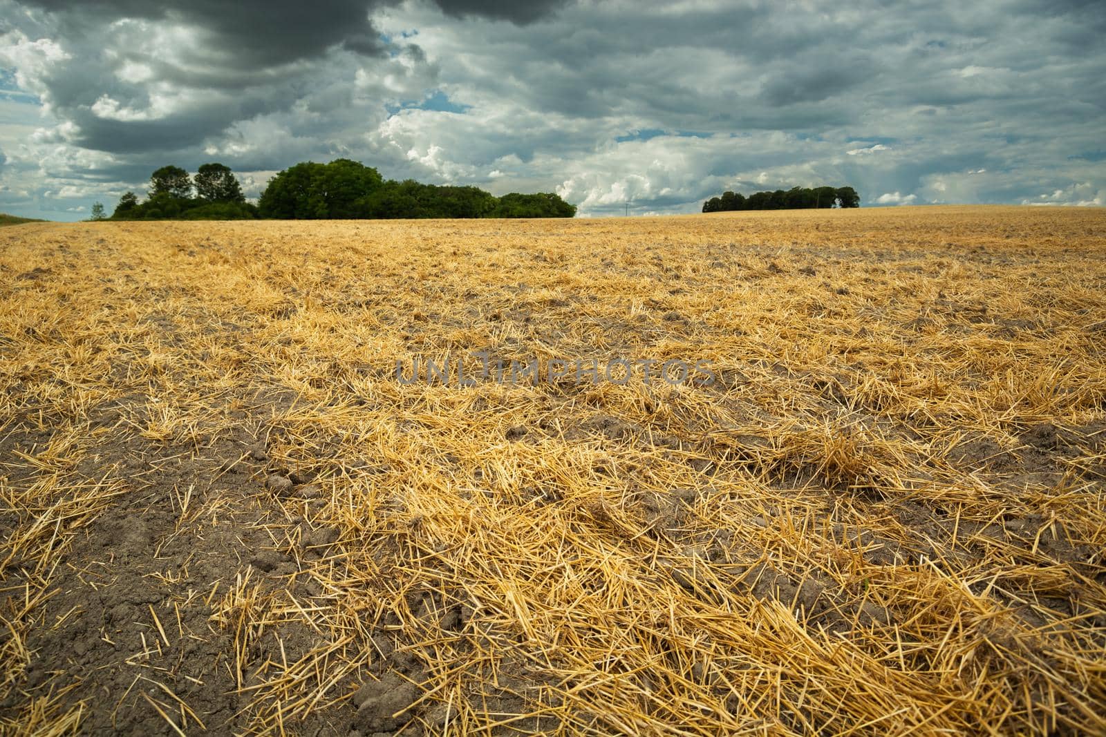 Straw in the field after haymaking and rain clouds, summer rural view