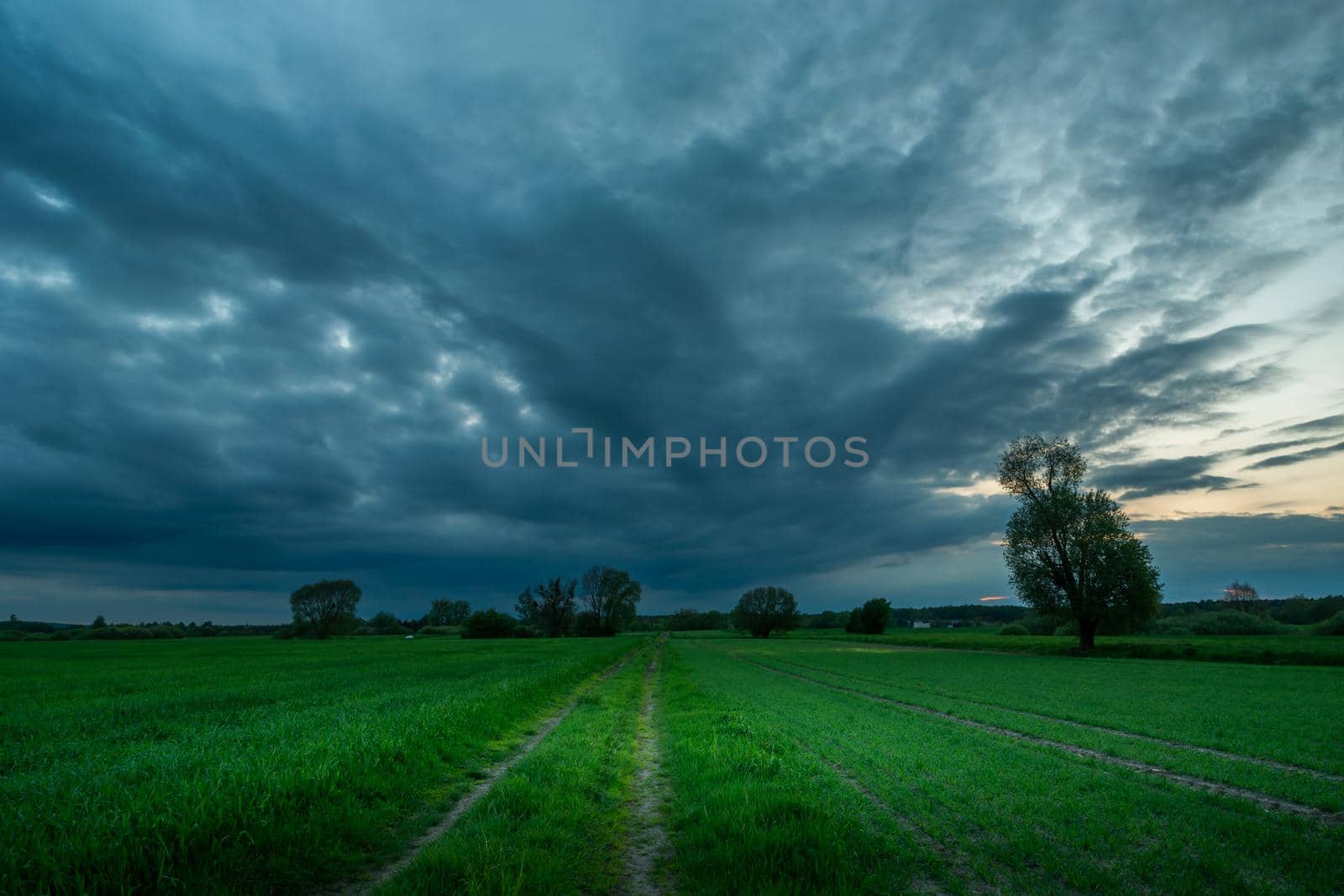Road through green fields and rainy clouds, spring evening