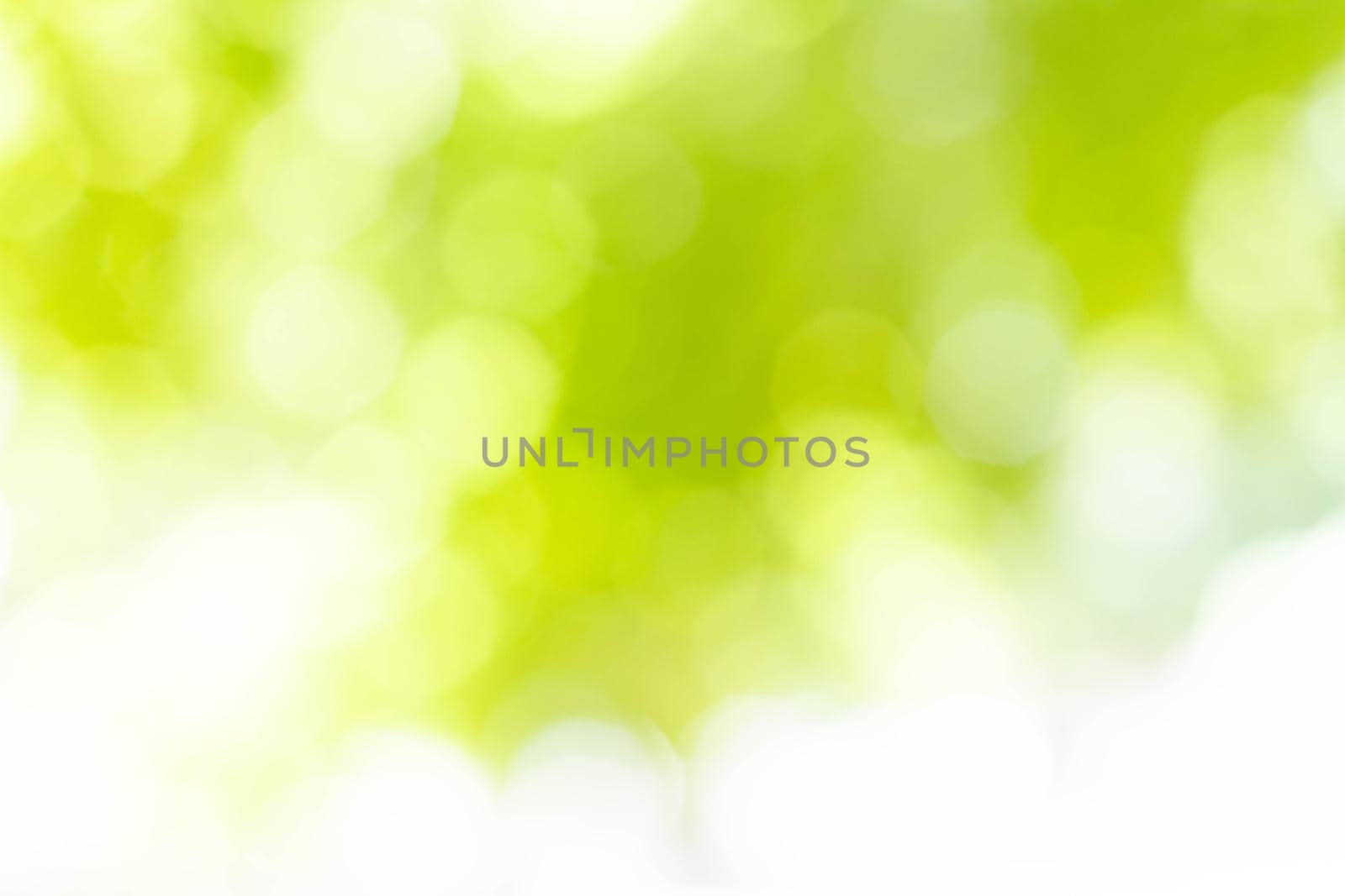 Abstract background. Background in blur out of focus. Texture in shades of green. Bokeh in the background. Green color.