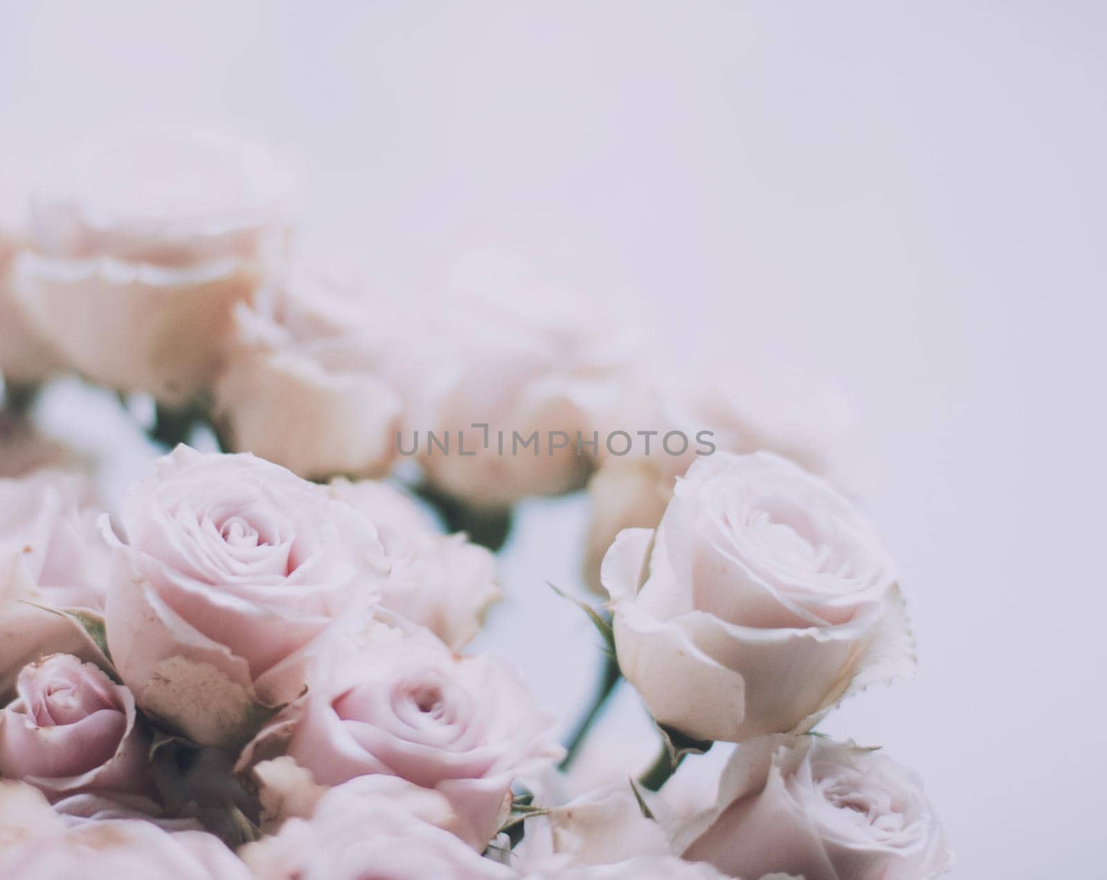rose flower bouquet - wedding, holiday and floral garden styled concept by Anneleven