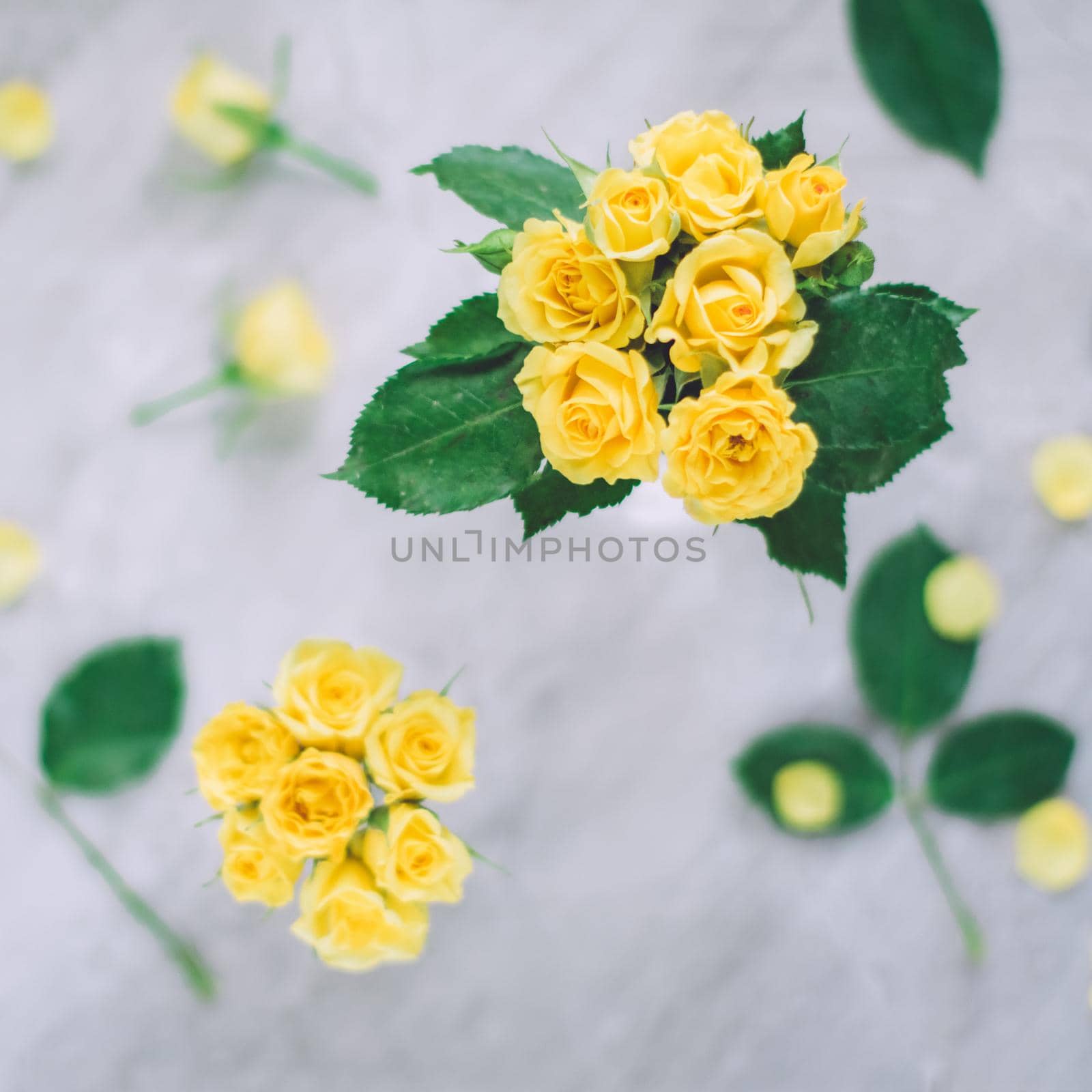 yellow roses - wedding, holiday and floral garden styled concept, elegant visuals