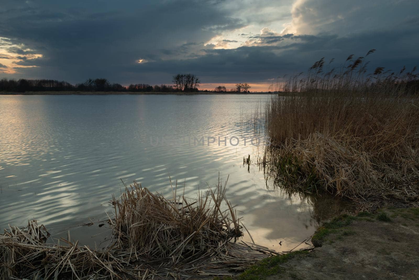 Shore of a lake with reeds and cloudy sky by darekb22