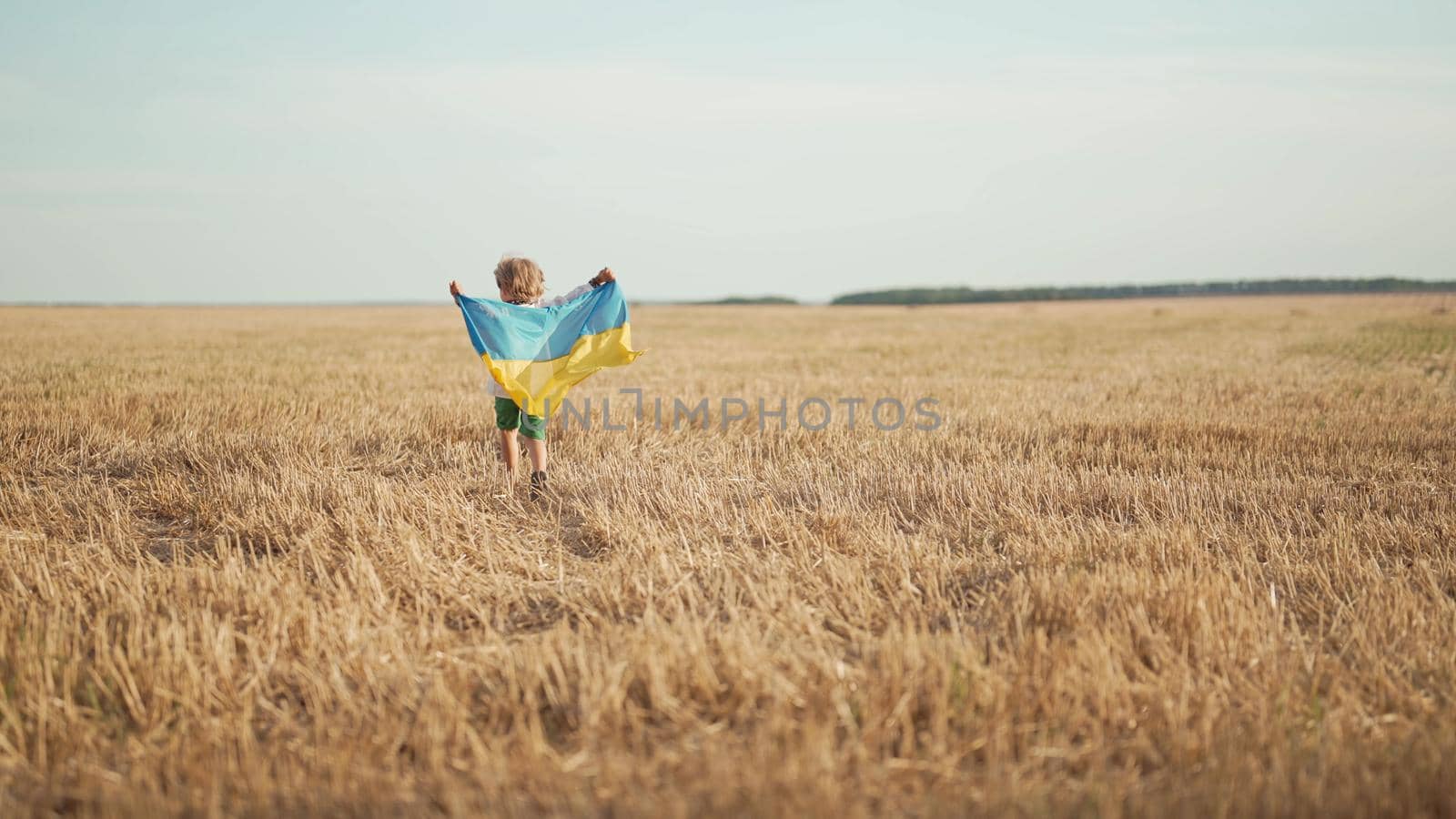Happy little boy - Ukrainian patriot child running with national flag in field after collection wheat, open area. Ukraine, peace, independence, freedom, win in war. High quality photo