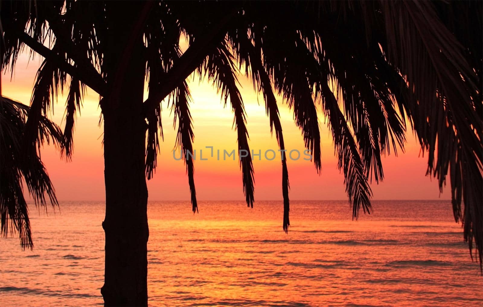 beach sunset - travel, seascape, vacation and summer holidays concept, elegant visuals