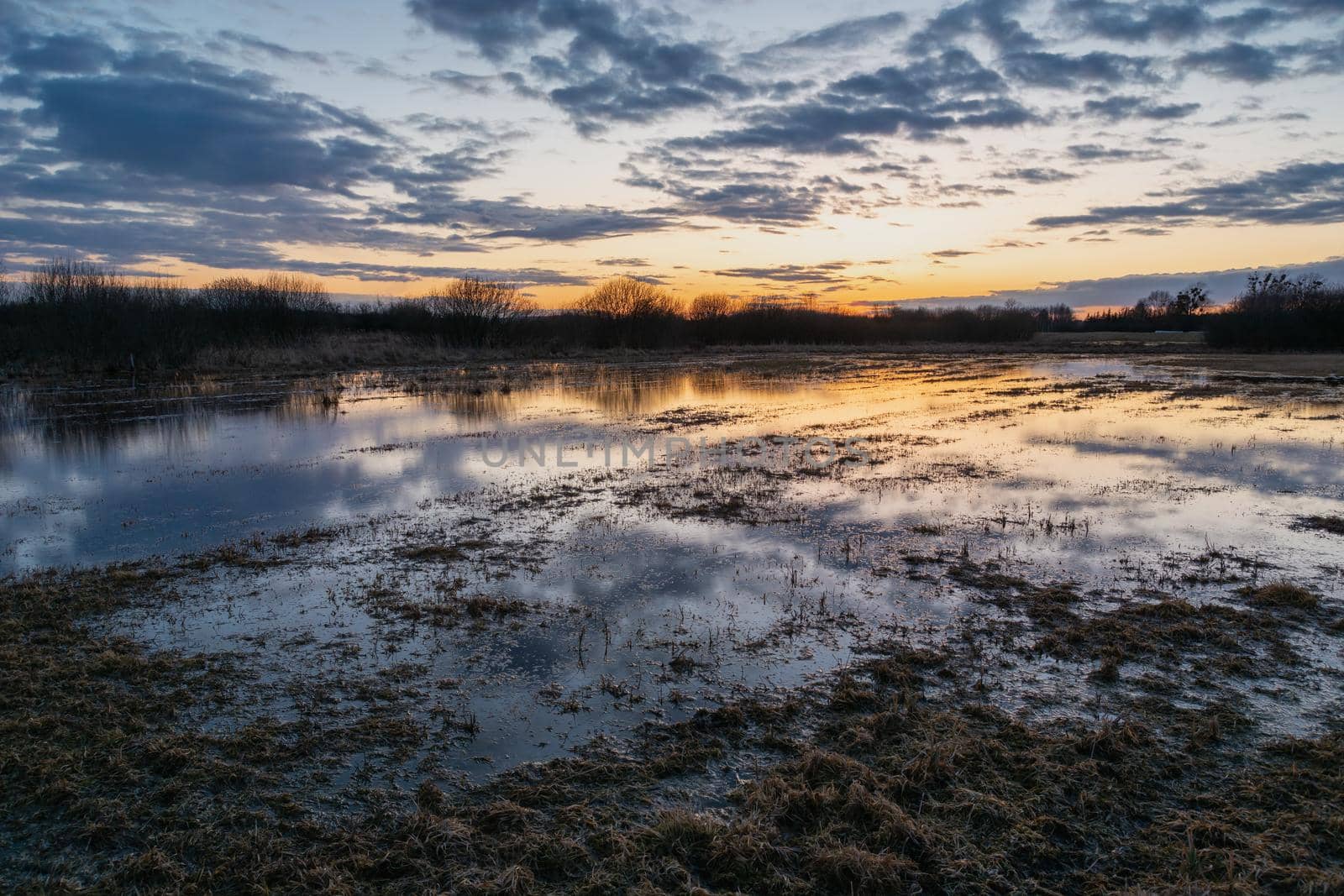 Water in the meadow and sky after sunset, spring evening