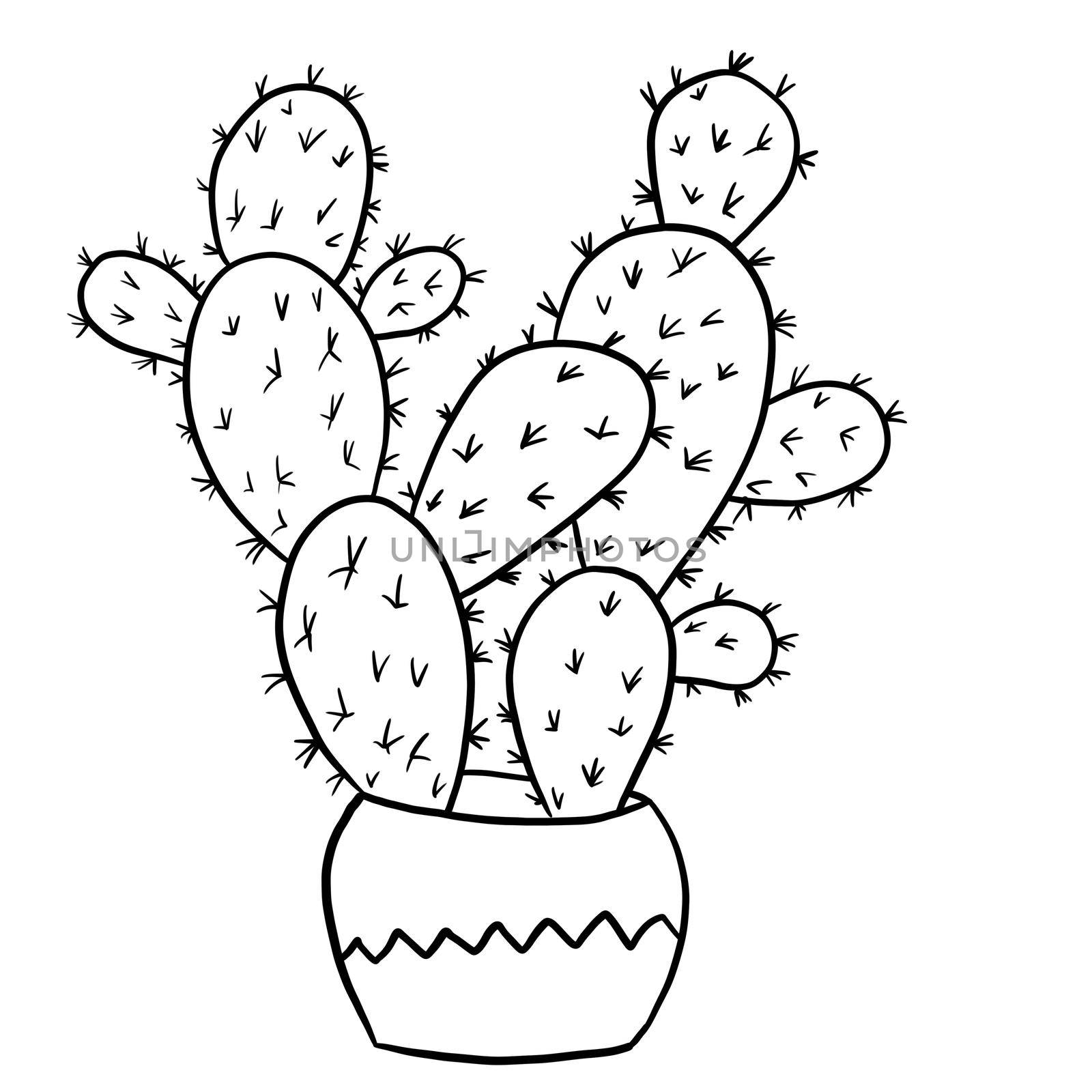 Cactus succulent in a decorated pot in black line outline cartoon style. Mexican desert cacti, houseplants flowers plant for interrior design in simple minimalist design, plant lady gift by Lagmar