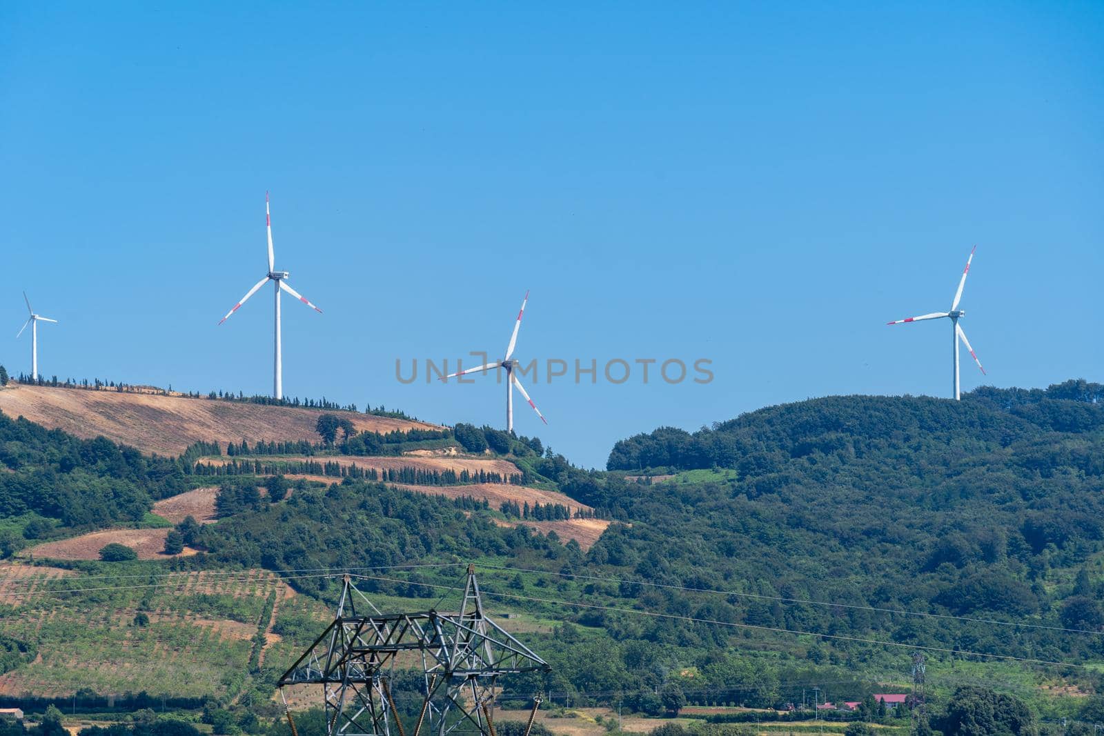 Panoramic view of wind farm or wind park, with turbines for generation electricity on sunny summer day. Green energy concept. Eco renewable energy power. by photolime