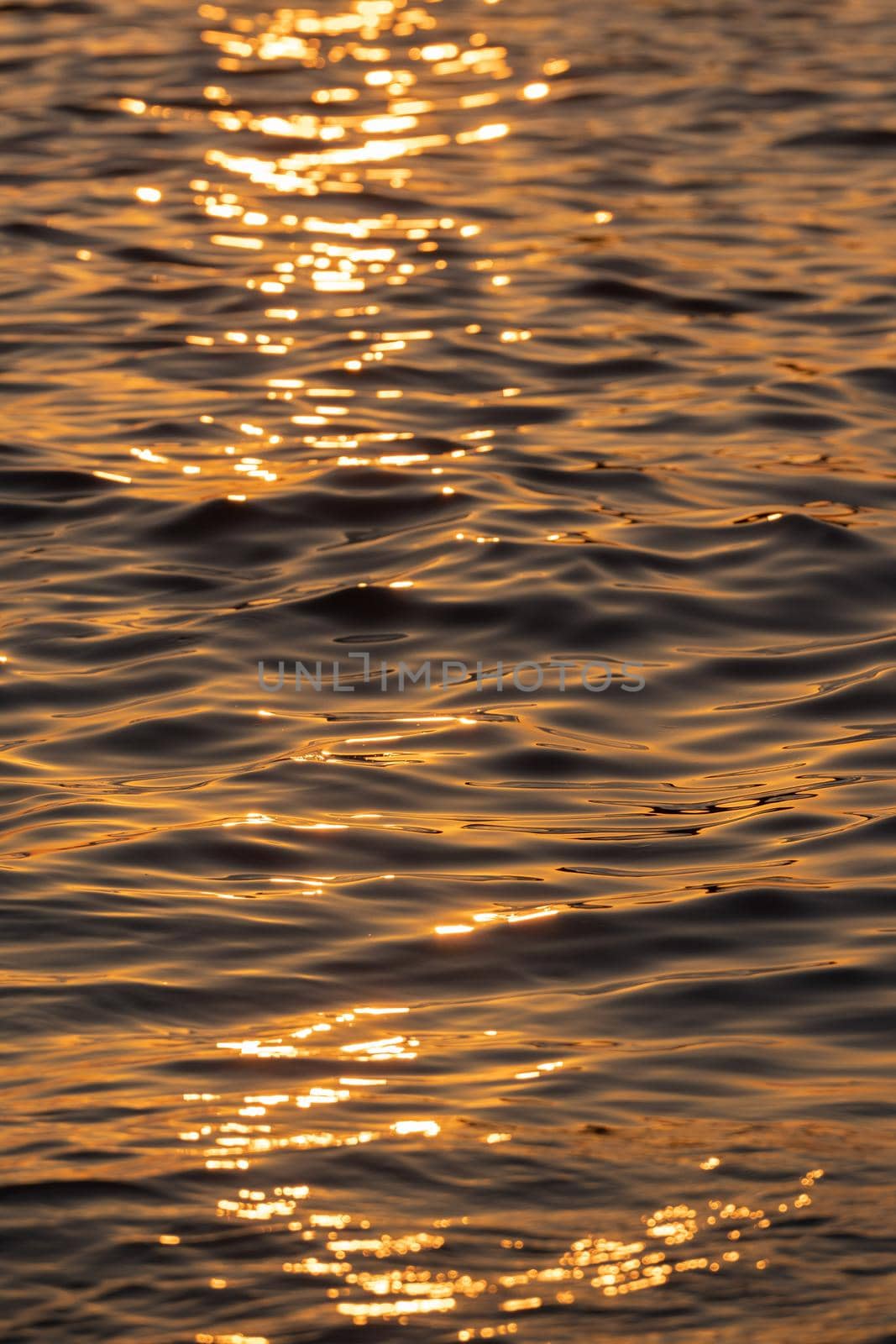 Ripple sea ocean water surface with golden sunset light. Sea wave close up by photolime