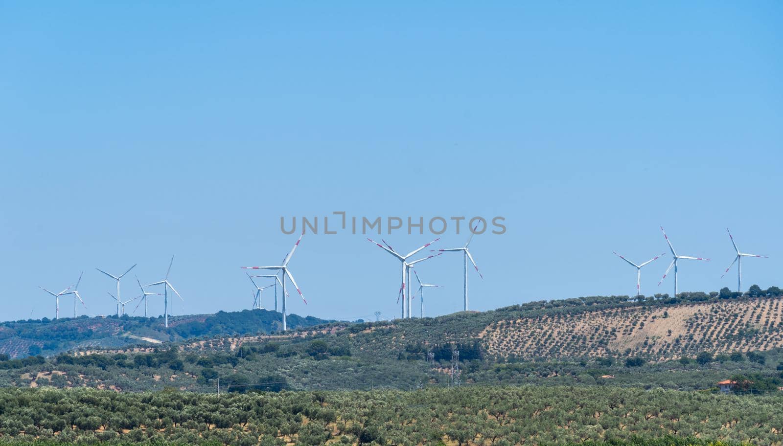 Panoramic view of wind farm or wind park, with turbines for generation electricity on sunny summer day. Green energy concept. Eco renewable energy power. Panorama