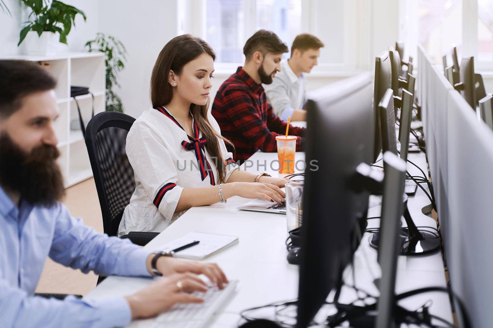 People working in modern IT office. Group of young programmers and software developers sitting at desks working on computers. Team at work.