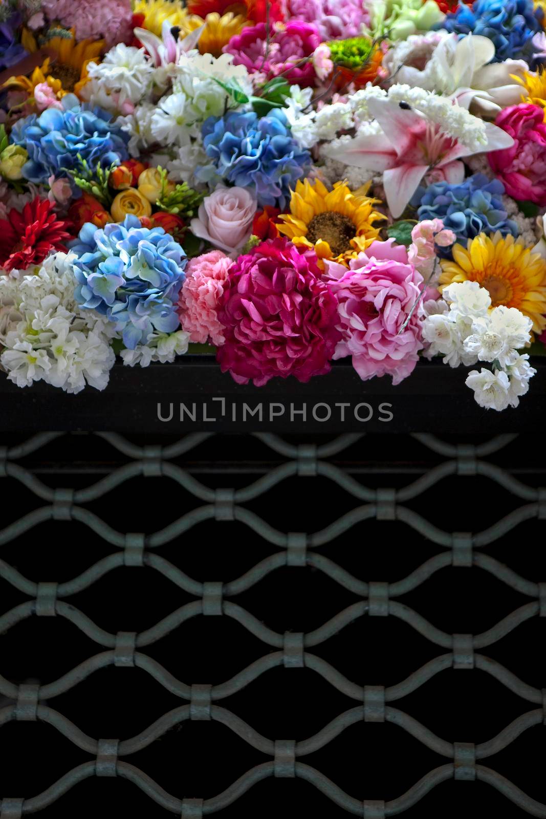 We celebrate bankruptcy with flowers by jacques_palut