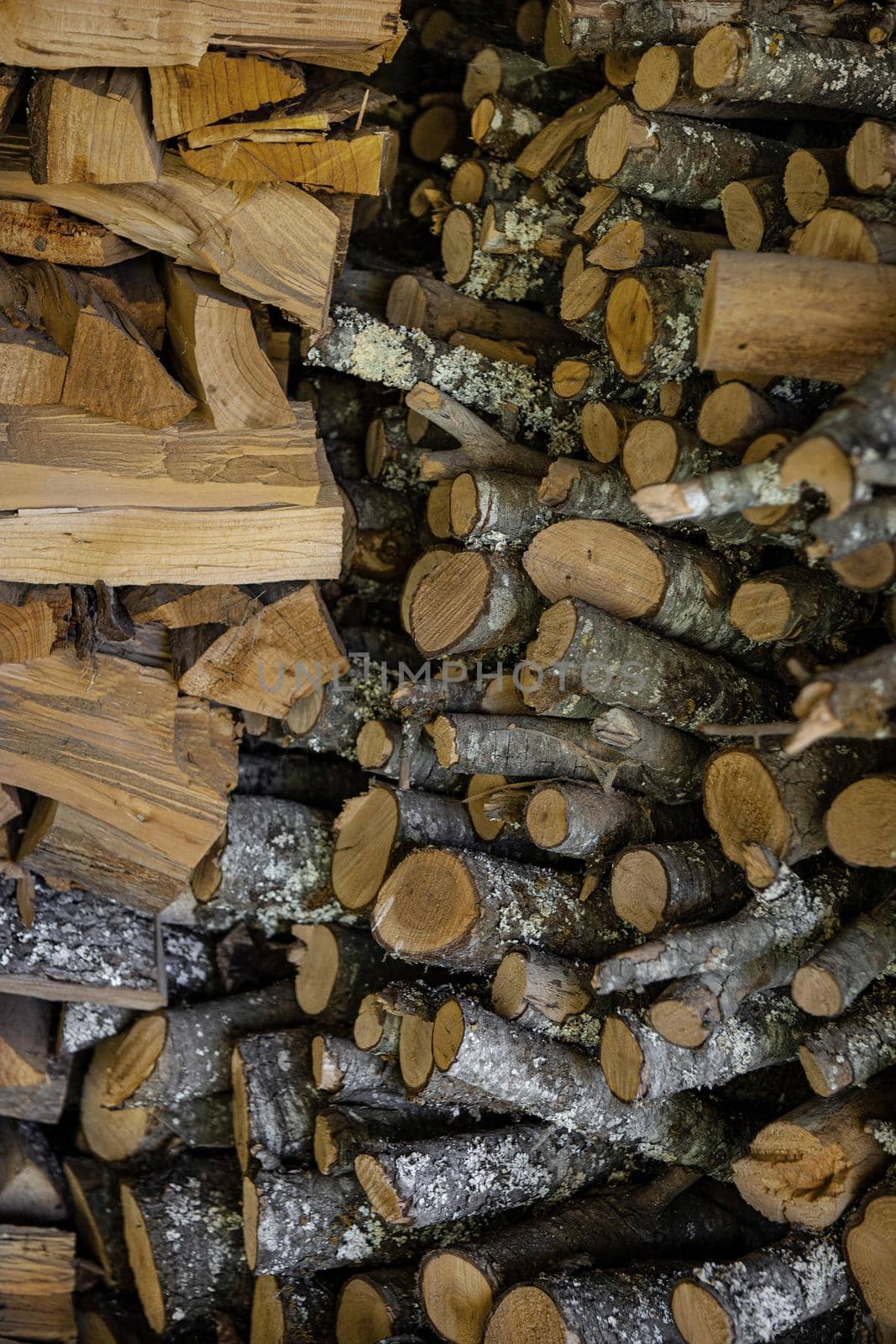 Wood logs drying in the farm shed