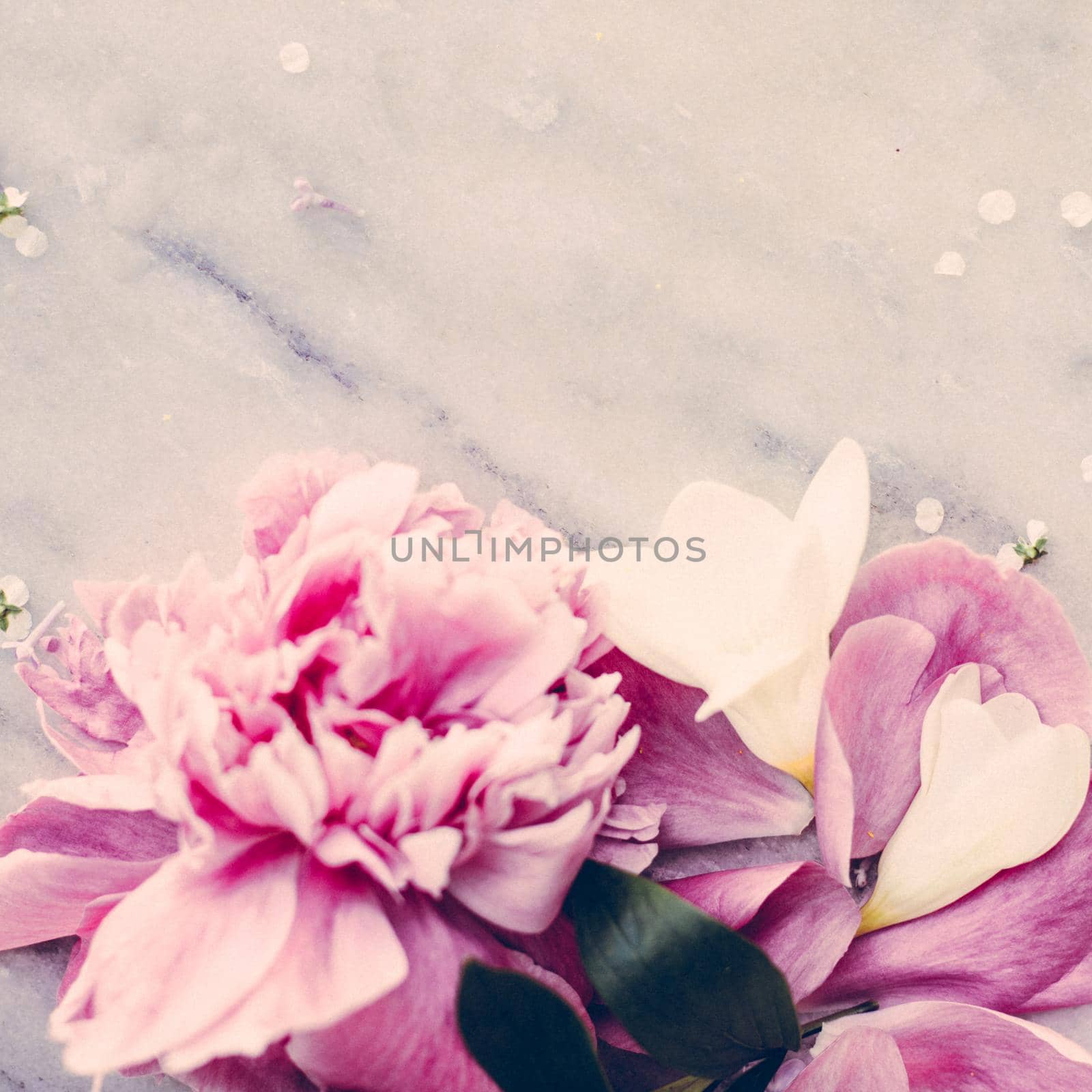 floral blossom - wedding, holiday and flower garden styled concept, elegant visuals