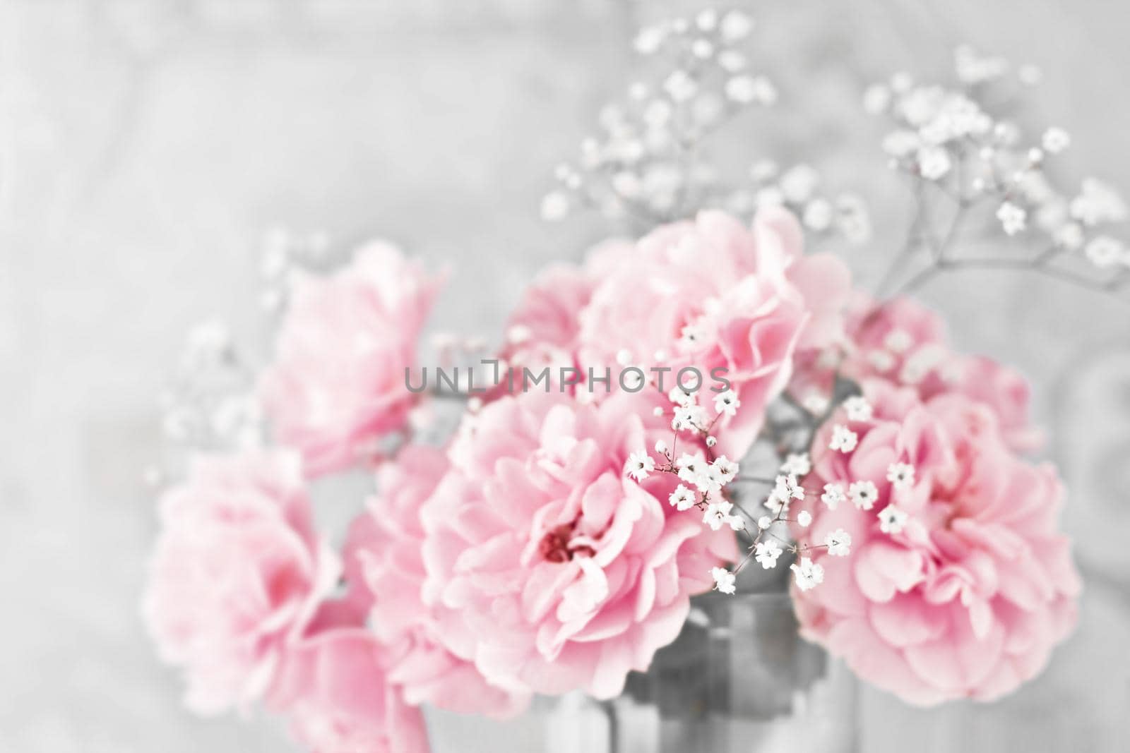 rose flower blossom - wedding, holiday and floral garden styled concept by Anneleven