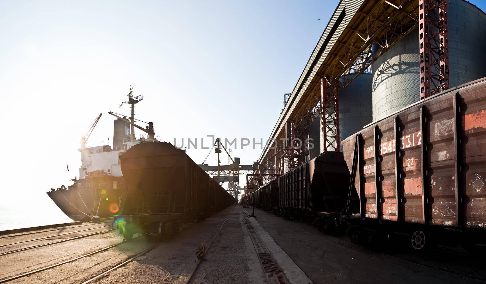 Loading grain into holds of sea cargo vessel in seaport from silos of grain storage. Bunkering of dry cargo ship with grain.