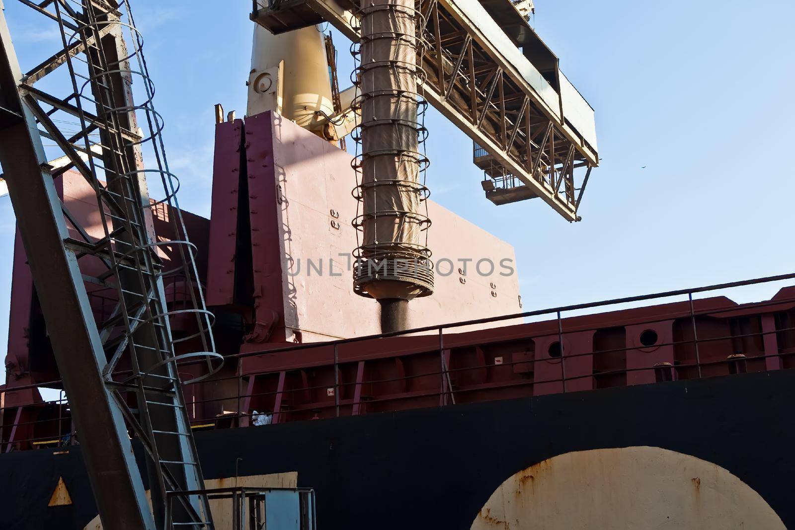 Loading grain into holds of sea cargo vessel in seaport from silos of grain storage. Bunkering of dry cargo ship with grain.