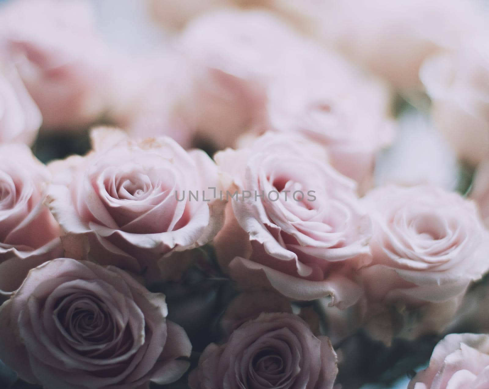 rose flower bouquet - wedding, holiday and floral garden styled concept by Anneleven